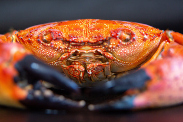 黑底煮蟹图片下载