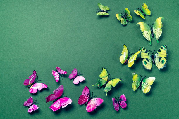 摘要绿色背景与蝴蝶图片下载