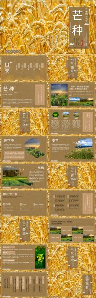 芒种忙麦上场-24节气芒种主题PPT通用模素材图片