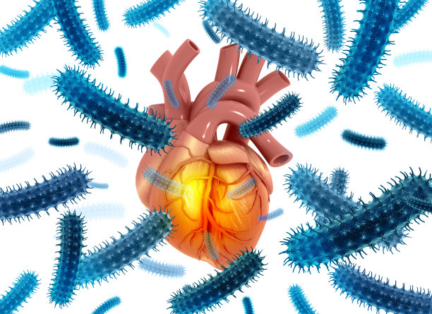 心与病毒。人类心脏周围的细菌或病毒。心脏病。三维演示图片下载