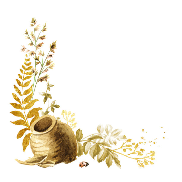 野草和野花。夏季田园构图、花束、装饰理念。手绘水彩插图孤立在白色背景上图片下载