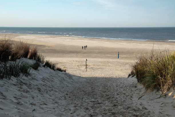10月的东弗里西亚博尔库姆岛，有穿过沙丘景观和通往大海的路径。岛上的这一部分属于瓦登海国家公园。图片下载