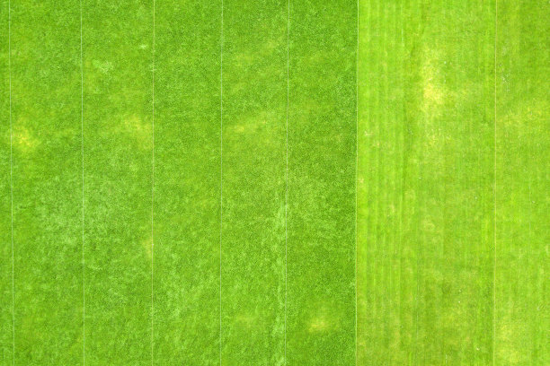 近距离鸟瞰图，绿色的新剪草坪的足球场在夏天。图片下载