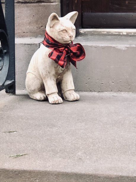 带圣诞蝴蝶结的石头猫图片下载