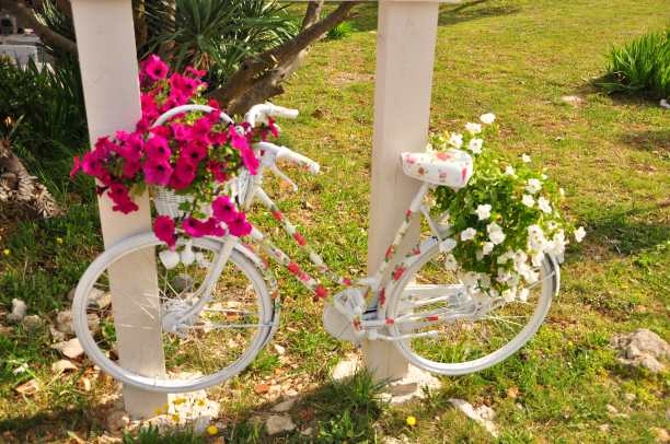 装饰的老式自行车模型，配有花篮。健美的照片。白色的自行车停放在夏天的花坛图片下载
