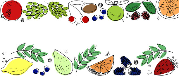 夏天的概念和健康饮食水果和浆果的叶子图片下载