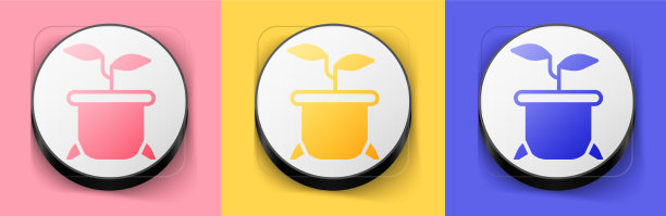 花盆图标孤立在粉红色上的等距植物图片下载