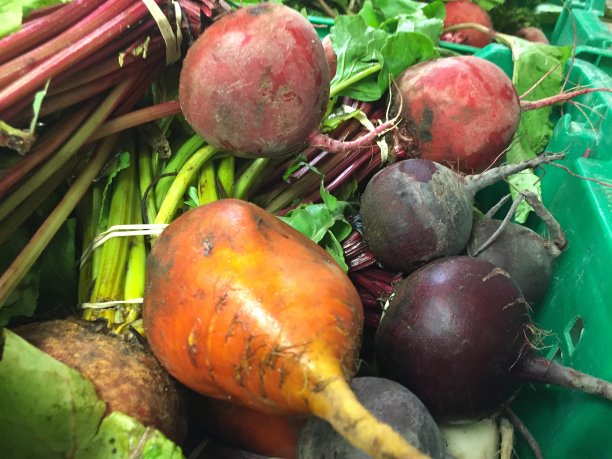 收获甜菜的静物图片下载