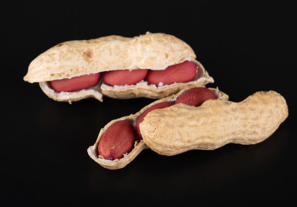 花生全在壳和无壳，孤立在一个黑色的背景反射图片下载