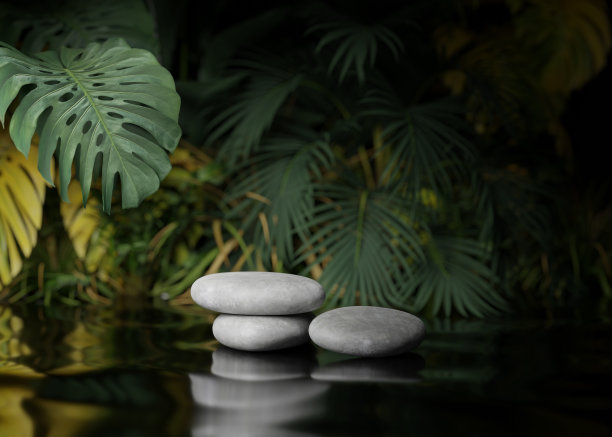 3D平台，石材展示集。丛林，怪兽棕榈叶。自然黑色背景。化妆品、美容产品促销模型。卵石基座。灰色时尚异国情调，3D渲染插图。图片下载