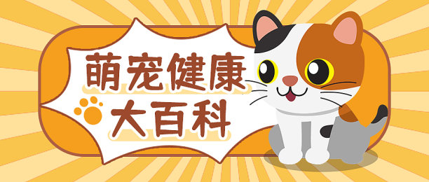 宠物攻略指南公众号封面图片下载