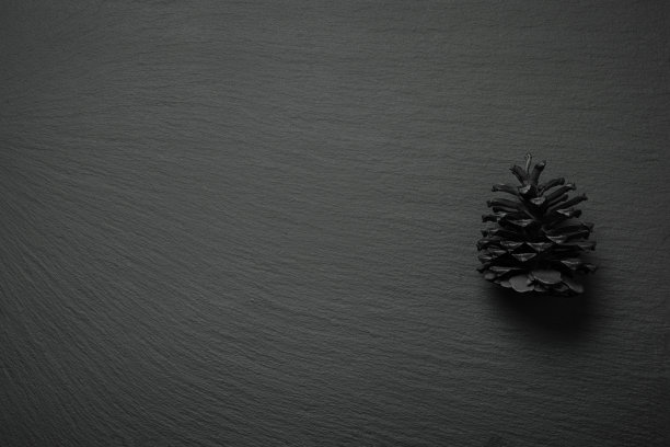 装饰性的松果图片下载