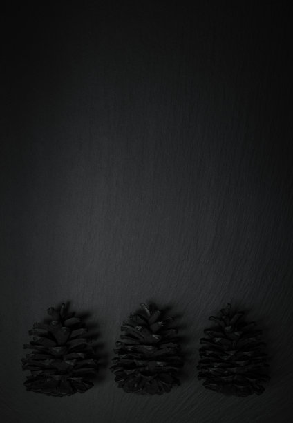 装饰性的松果图片下载