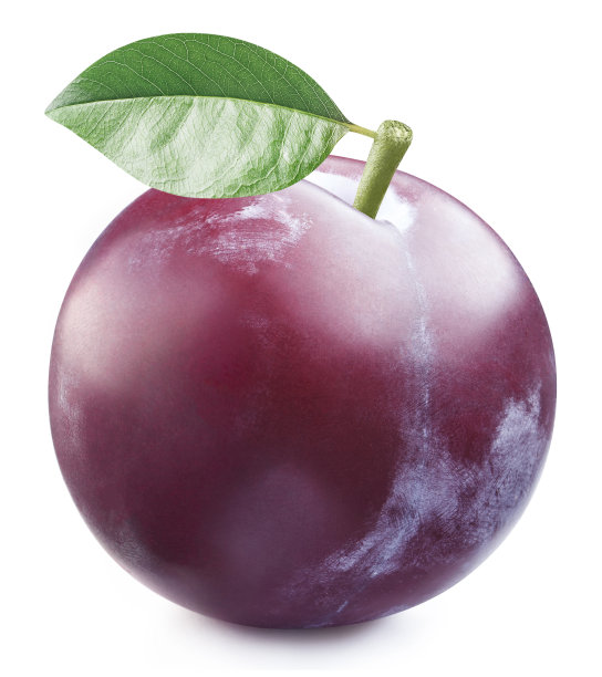 美味的白叶梅子图片下载