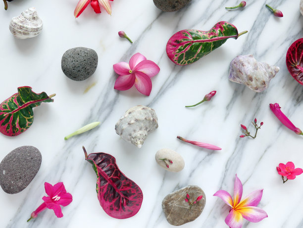 带有水疗花、禅意石、贝壳隔离在白色大理石上的横幅或壁纸。图片下载
