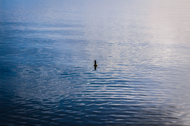 海洋污染。图片下载