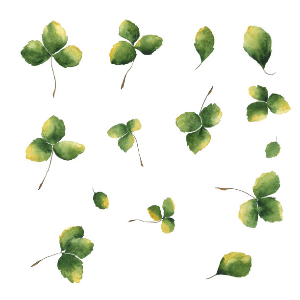在白色背景上孤立的绿色叶子的集合。水彩手绘插图。剪辑艺术。完美的卡片，印刷，装饰，图案。图片下载