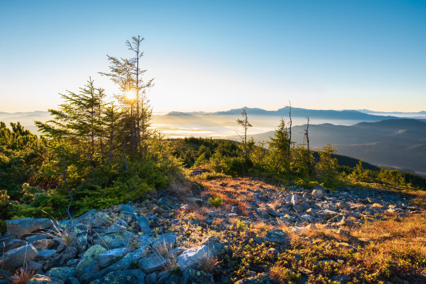 乌克兰喀尔巴阡山脉的山峰在阳光下闪闪发光。图片下载