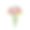 束鲜花图片下载