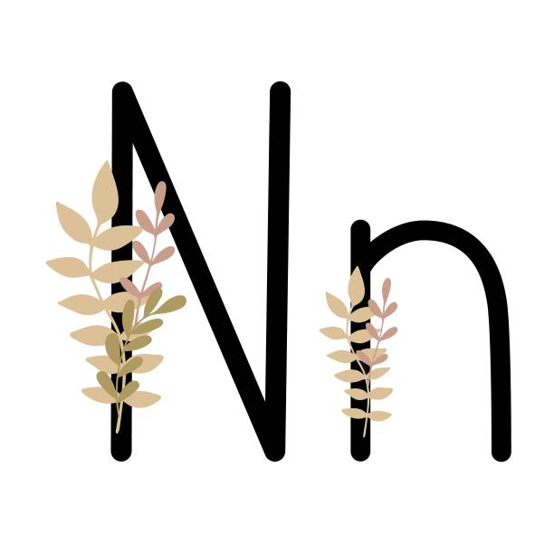 英文字母N，拉丁字母大写，花装饰小写，花组合矢量插图在简单的波西米亚风格，平坦的粉彩装饰字母图片下载