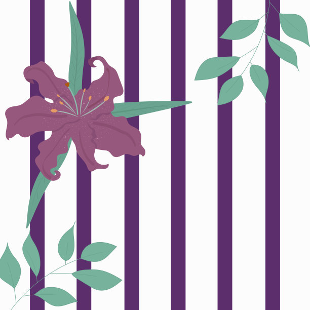 紫百合花，载体模板。图片下载