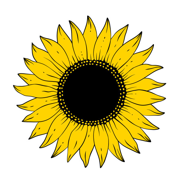 手绘艺术黄色盛开的向日葵图片下载