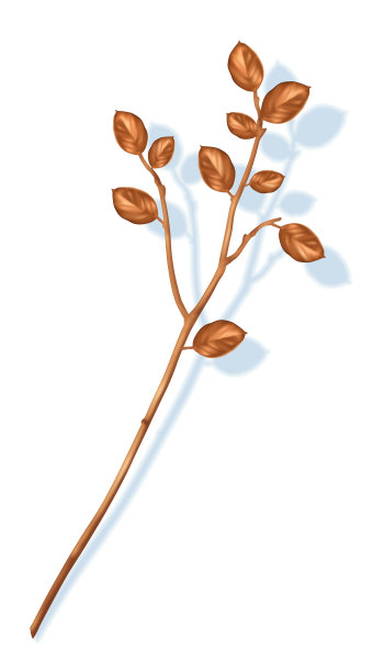 向量黄金枝图片下载