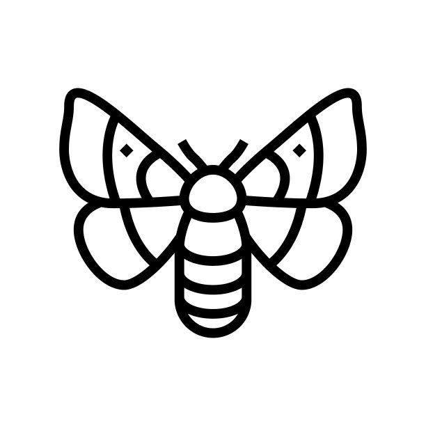 成年蚕蛾线图标矢量插图图片下载