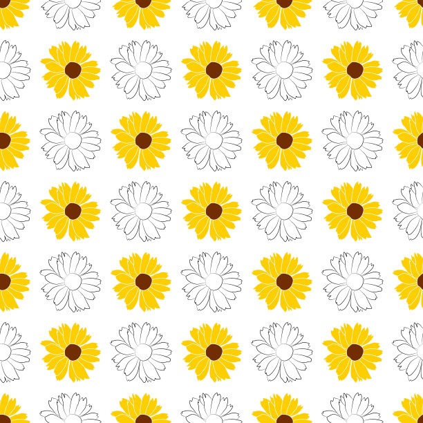 无缝模式开放太阳花矢量轮廓插图孤立在白色背景上。矢量草图风格顶视图手绘野生，太阳风，假向日葵。图片下载
