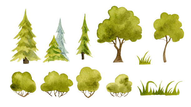 水彩树与松树和橡树图片下载