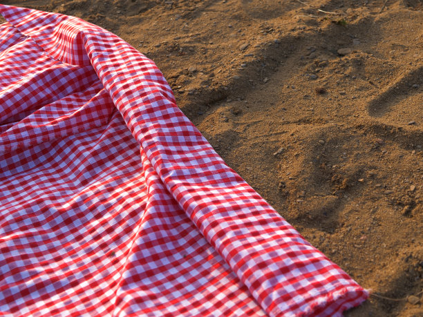 野餐用红色方格布在沙滩上图片下载
