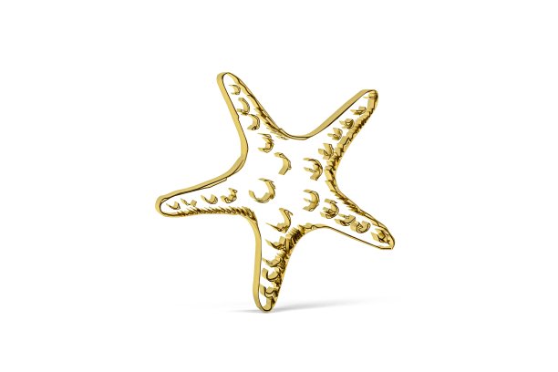 海星图标图片下载