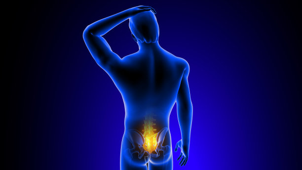 三维骶椎关节疼痛解剖概念图片下载