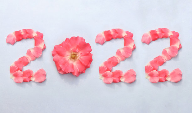 2022用粉色玫瑰花瓣写就，新年快乐创意照片2022图片下载