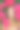 户外肖像的年轻美丽的女人摆姿势与明亮的粉红色绣球花图片下载