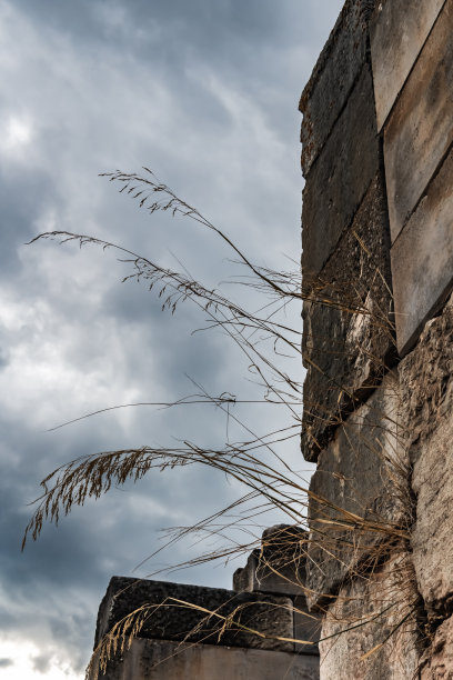 古老墙壁上的干草图片下载
