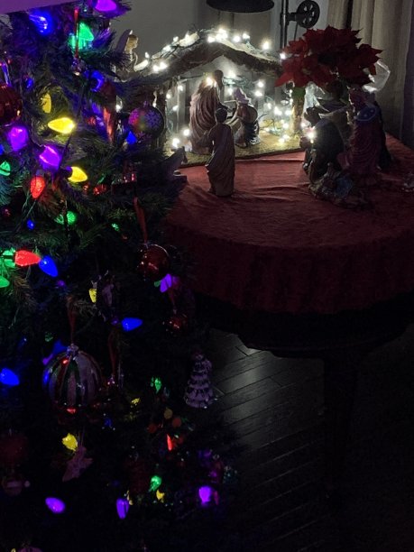 树和夜晚的基督诞生图片下载