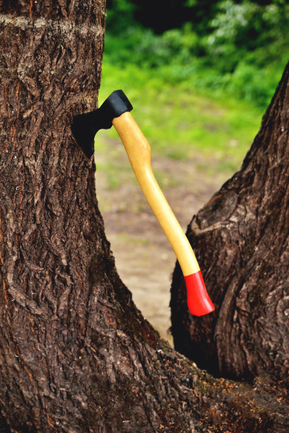 一个美丽的形状的斧头伸出在一棵树上，黄色的手柄特写，在一个自然的背景上图片下载