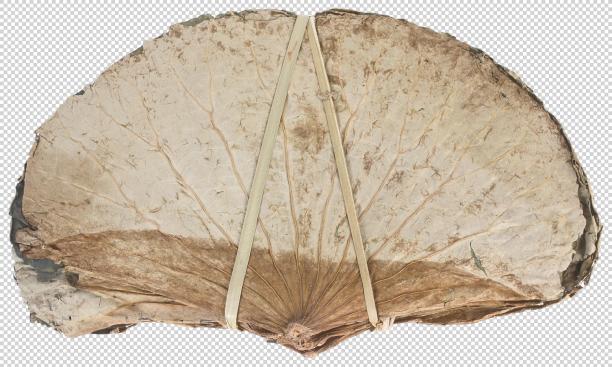 实物免扣图像元素图片下载