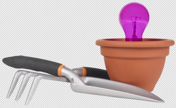 实物免扣图像元素图片下载