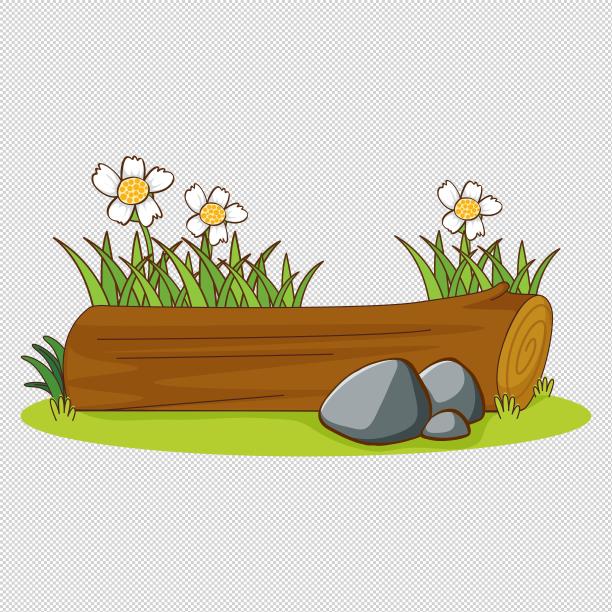 草地小草鲜花图片下载