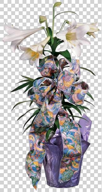 花盆里的复活节百合花图片下载