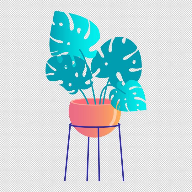 架子龟背竹花盆盆栽图片下载