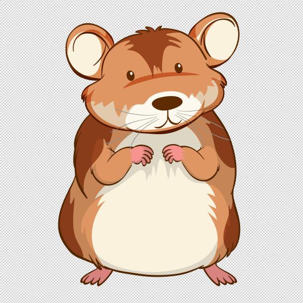 老鼠站立动物图片下载