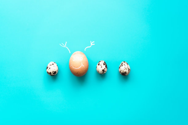 复活节背景鹌鹑蛋和鸡蛋举手图片下载