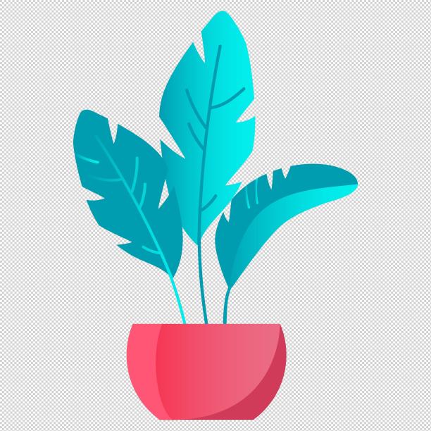 树叶植物盆栽图片下载