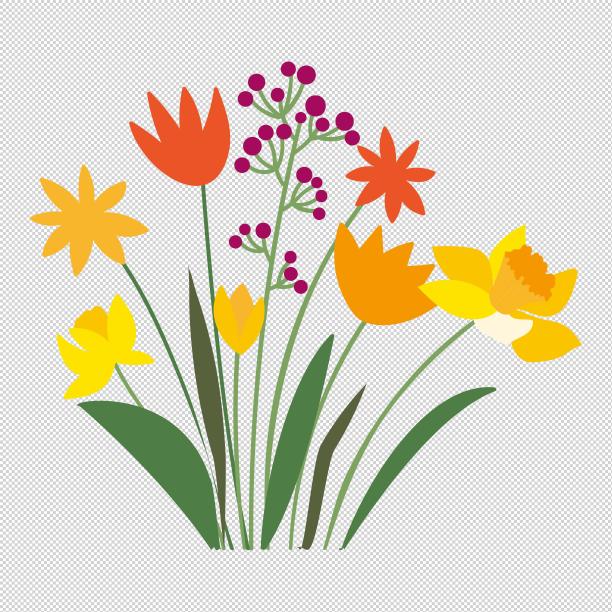 鲜花花卉植物图片下载