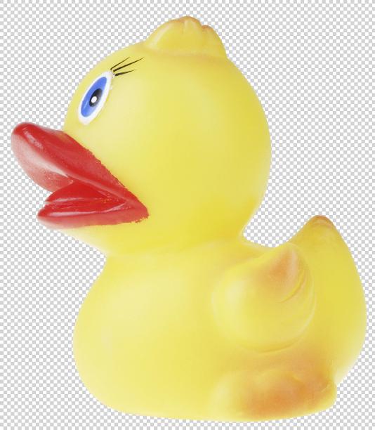 橡胶鸭图片下载