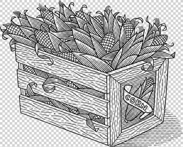 玉米穗装在木箱里图片下载