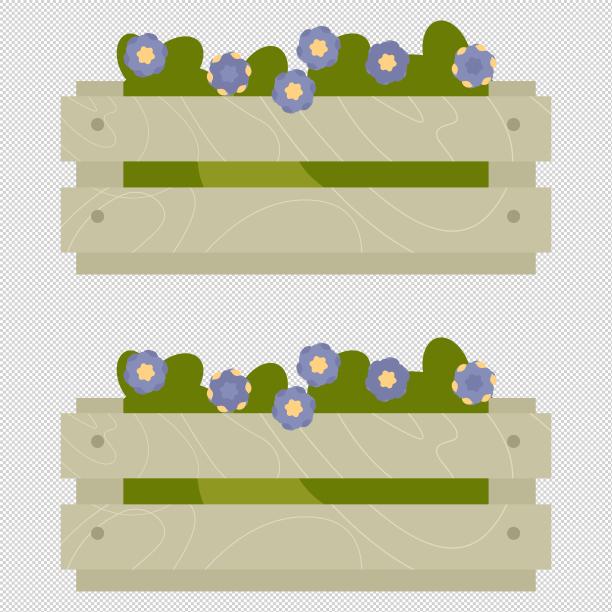 紫色小花植物木箱图片下载